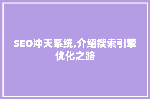 SEO冲天系统,介绍搜索引擎优化之路