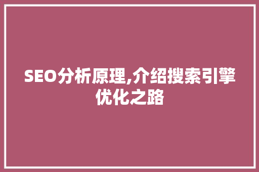 SEO分析原理,介绍搜索引擎优化之路