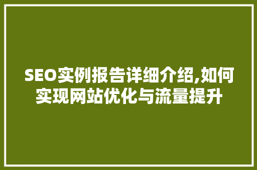 SEO实例报告详细介绍,如何实现网站优化与流量提升  第1张