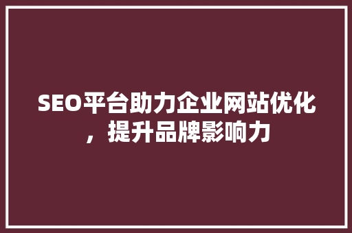 SEO平台助力企业网站优化，提升品牌影响力  第1张