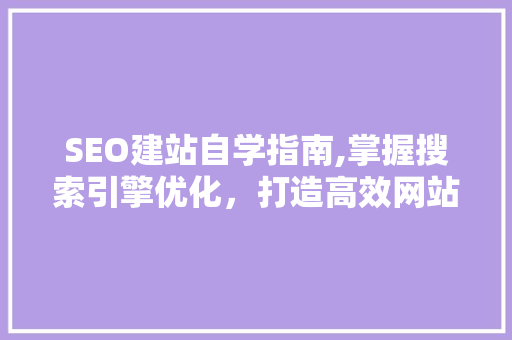 SEO建站自学指南,掌握搜索引擎优化，打造高效网站