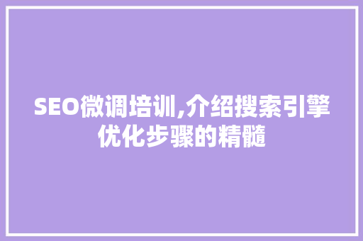 SEO微调培训,介绍搜索引擎优化步骤的精髓