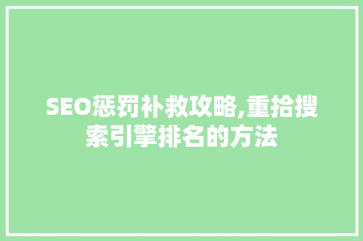 SEO惩罚补救攻略,重拾搜索引擎排名的方法