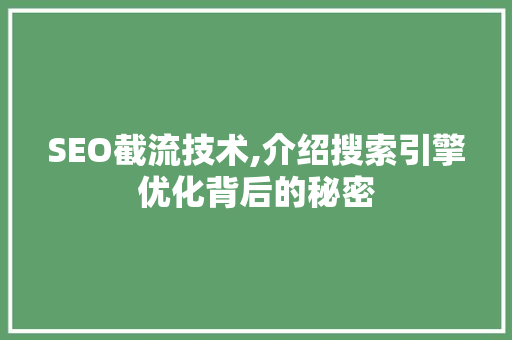 SEO截流技术,介绍搜索引擎优化背后的秘密