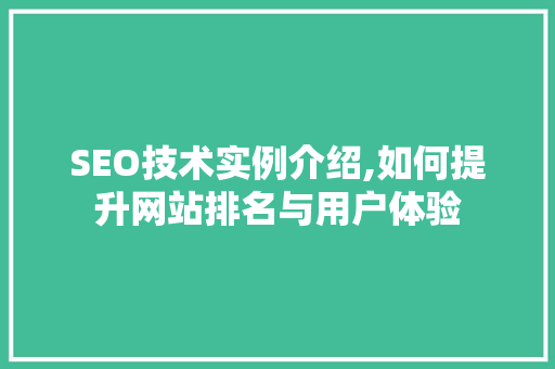 SEO技术实例介绍,如何提升网站排名与用户体验  第1张