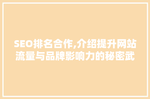 SEO排名合作,介绍提升网站流量与品牌影响力的秘密武器