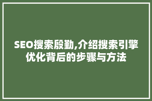 SEO搜索殷勤,介绍搜索引擎优化背后的步骤与方法