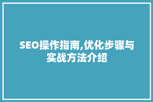 SEO操作指南,优化步骤与实战方法介绍  第1张