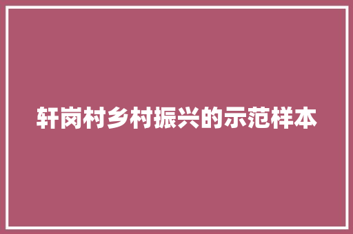 轩岗村乡村振兴的示范样本