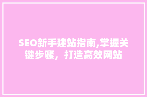 SEO新手建站指南,掌握关键步骤，打造高效网站  第1张