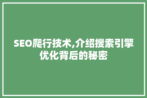 SEO爬行技术,介绍搜索引擎优化背后的秘密