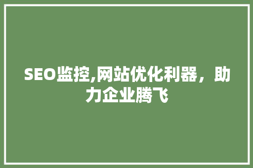 SEO监控,网站优化利器，助力企业腾飞