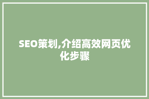 SEO策划,介绍高效网页优化步骤