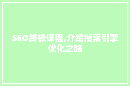 SEO终极课程,介绍搜索引擎优化之路