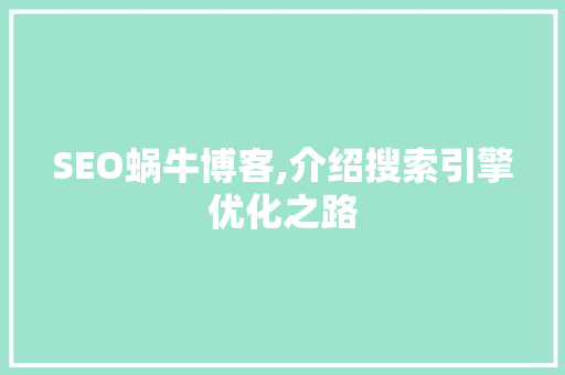 SEO蜗牛博客,介绍搜索引擎优化之路
