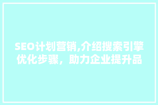SEO计划营销,介绍搜索引擎优化步骤，助力企业提升品牌影响力