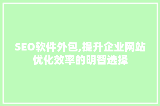 SEO软件外包,提升企业网站优化效率的明智选择