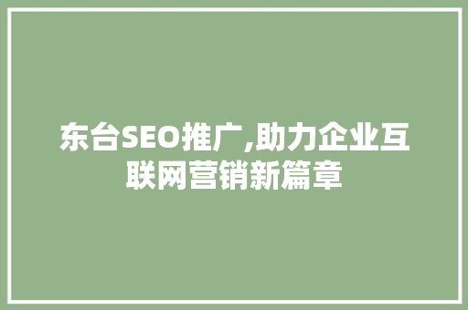 东台SEO推广,助力企业互联网营销新篇章