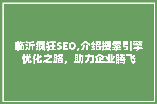 临沂疯狂SEO,介绍搜索引擎优化之路，助力企业腾飞