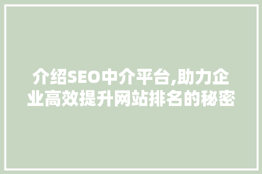 介绍SEO中介平台,助力企业高效提升网站排名的秘密武器