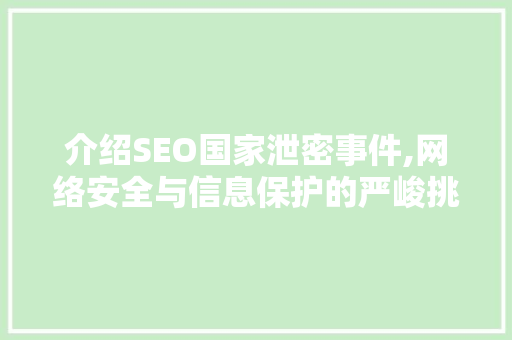 介绍SEO国家泄密事件,网络安全与信息保护的严峻挑战