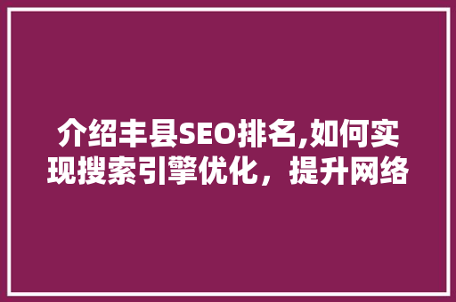 介绍丰县SEO排名,如何实现搜索引擎优化，提升网络知名度