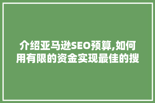 介绍亚马逊SEO预算,如何用有限的资金实现最佳的搜索优化效果  第1张