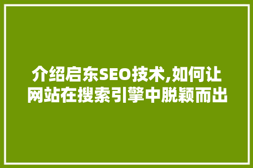 介绍启东SEO技术,如何让网站在搜索引擎中脱颖而出