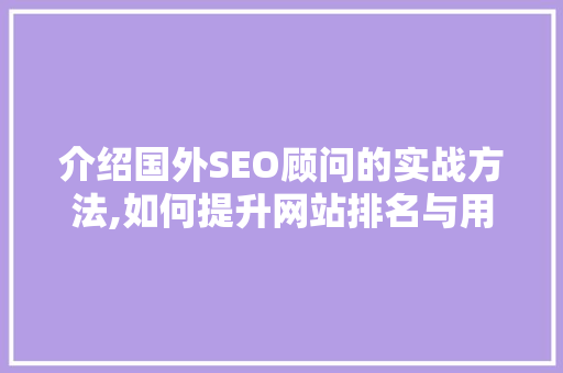 介绍国外SEO顾问的实战方法,如何提升网站排名与用户体验