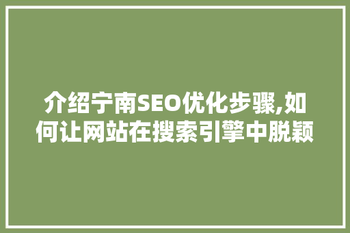 介绍宁南SEO优化步骤,如何让网站在搜索引擎中脱颖而出