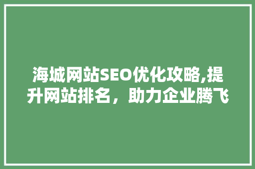 海城网站SEO优化攻略,提升网站排名，助力企业腾飞