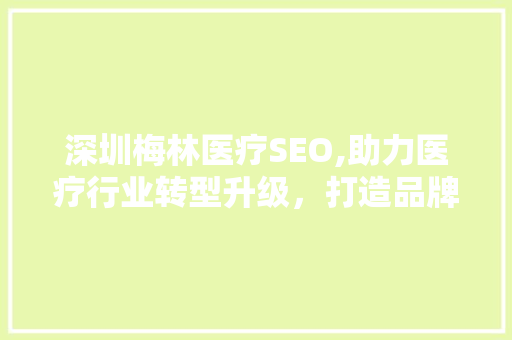 深圳梅林医疗SEO,助力医疗行业转型升级，打造品牌影响力新格局