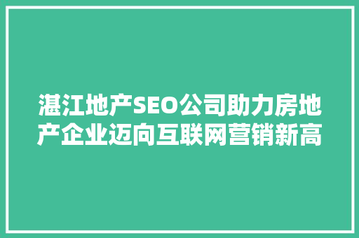 湛江地产SEO公司助力房地产企业迈向互联网营销新高峰