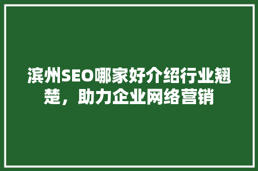 滨州SEO哪家好介绍行业翘楚，助力企业网络营销