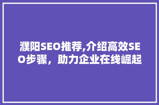 濮阳SEO推荐,介绍高效SEO步骤，助力企业在线崛起