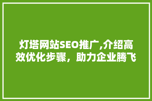 灯塔网站SEO推广,介绍高效优化步骤，助力企业腾飞