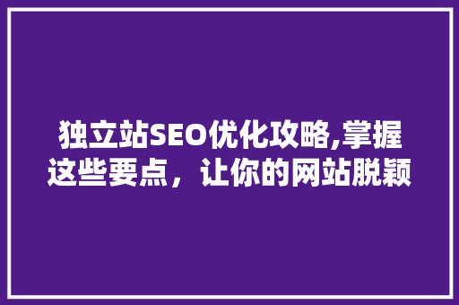 独立站SEO优化攻略,掌握这些要点，让你的网站脱颖而出