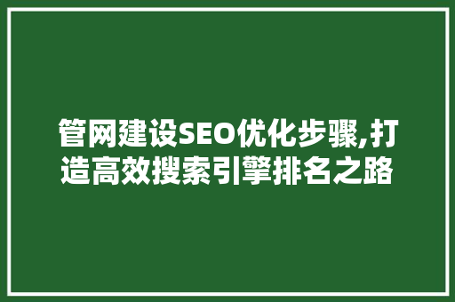 管网建设SEO优化步骤,打造高效搜索引擎排名之路