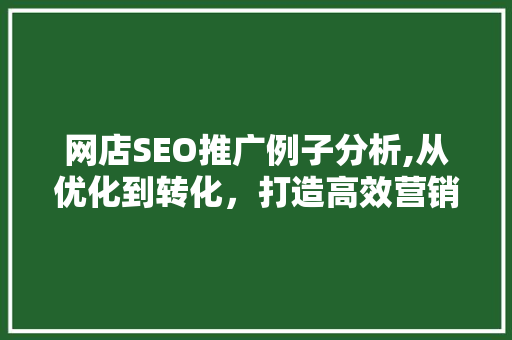 网店SEO推广例子分析,从优化到转化，打造高效营销步骤