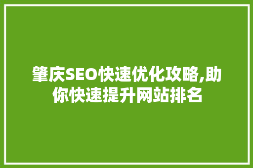 肇庆SEO快速优化攻略,助你快速提升网站排名