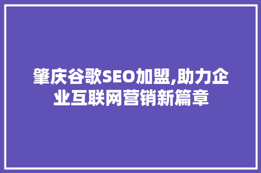 肇庆谷歌SEO加盟,助力企业互联网营销新篇章