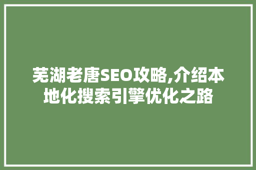 芜湖老唐SEO攻略,介绍本地化搜索引擎优化之路
