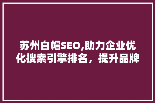 苏州白帽SEO,助力企业优化搜索引擎排名，提升品牌影响力