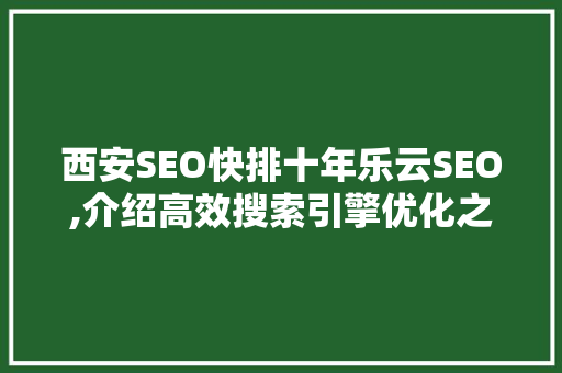 西安SEO快排十年乐云SEO,介绍高效搜索引擎优化之路