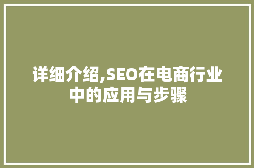 详细介绍,SEO在电商行业中的应用与步骤