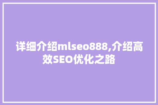 详细介绍mlseo888,介绍高效SEO优化之路