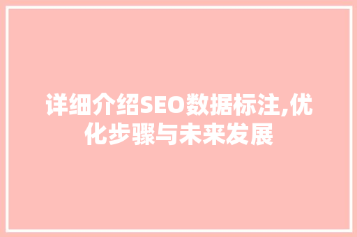 详细介绍SEO数据标注,优化步骤与未来发展