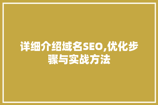 详细介绍域名SEO,优化步骤与实战方法