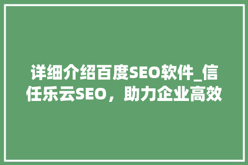 详细介绍百度SEO软件_信任乐云SEO，助力企业高效优化搜索引擎排名
