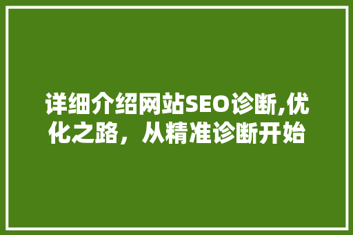 详细介绍网站SEO诊断,优化之路，从精准诊断开始
